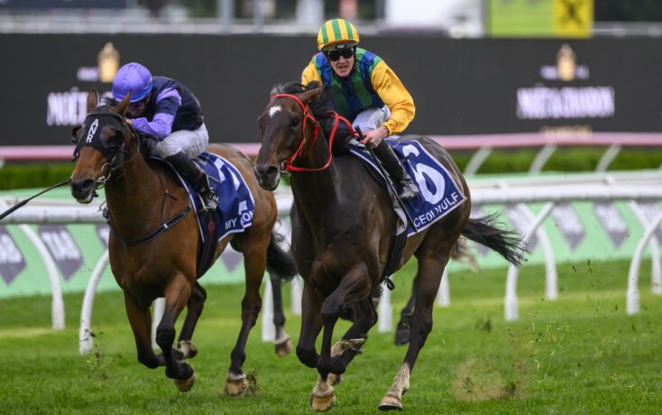 它们的每一 它们的每一